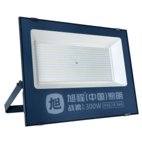 战狼系列 100W LED泛光灯